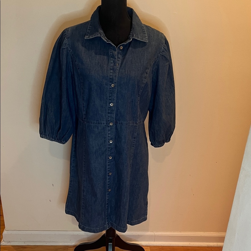 GAP Jean Dress